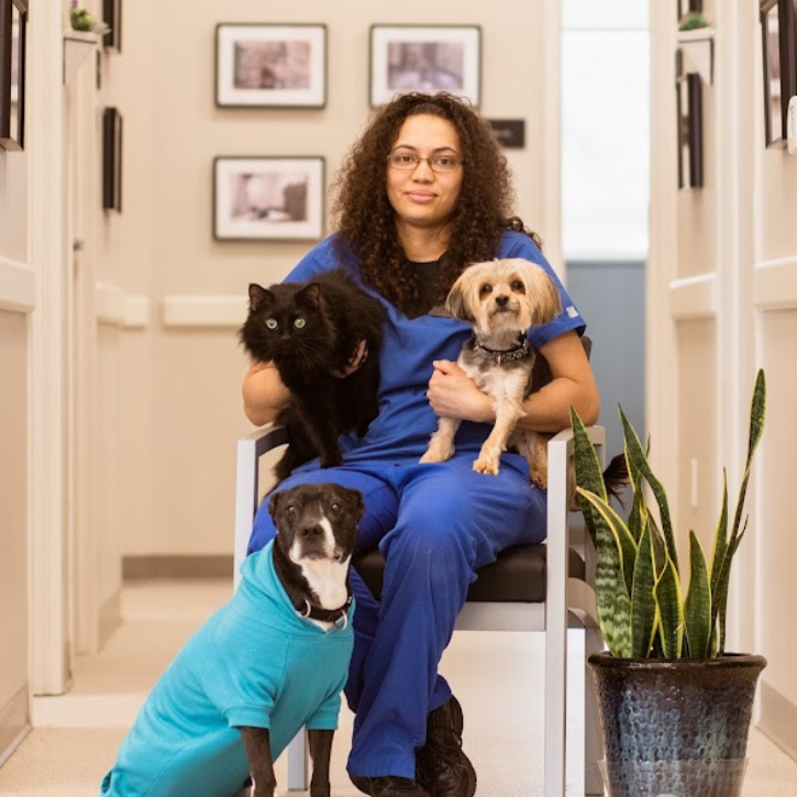 Latina, Licensed Veterinary Technician